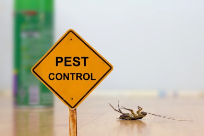 Pest Contol in Dartford, Crayford, DA1. Call Now 020 8166 9746